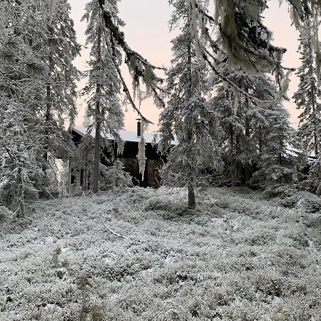 Chalé NAAVA Rukatunturi Exterior foto